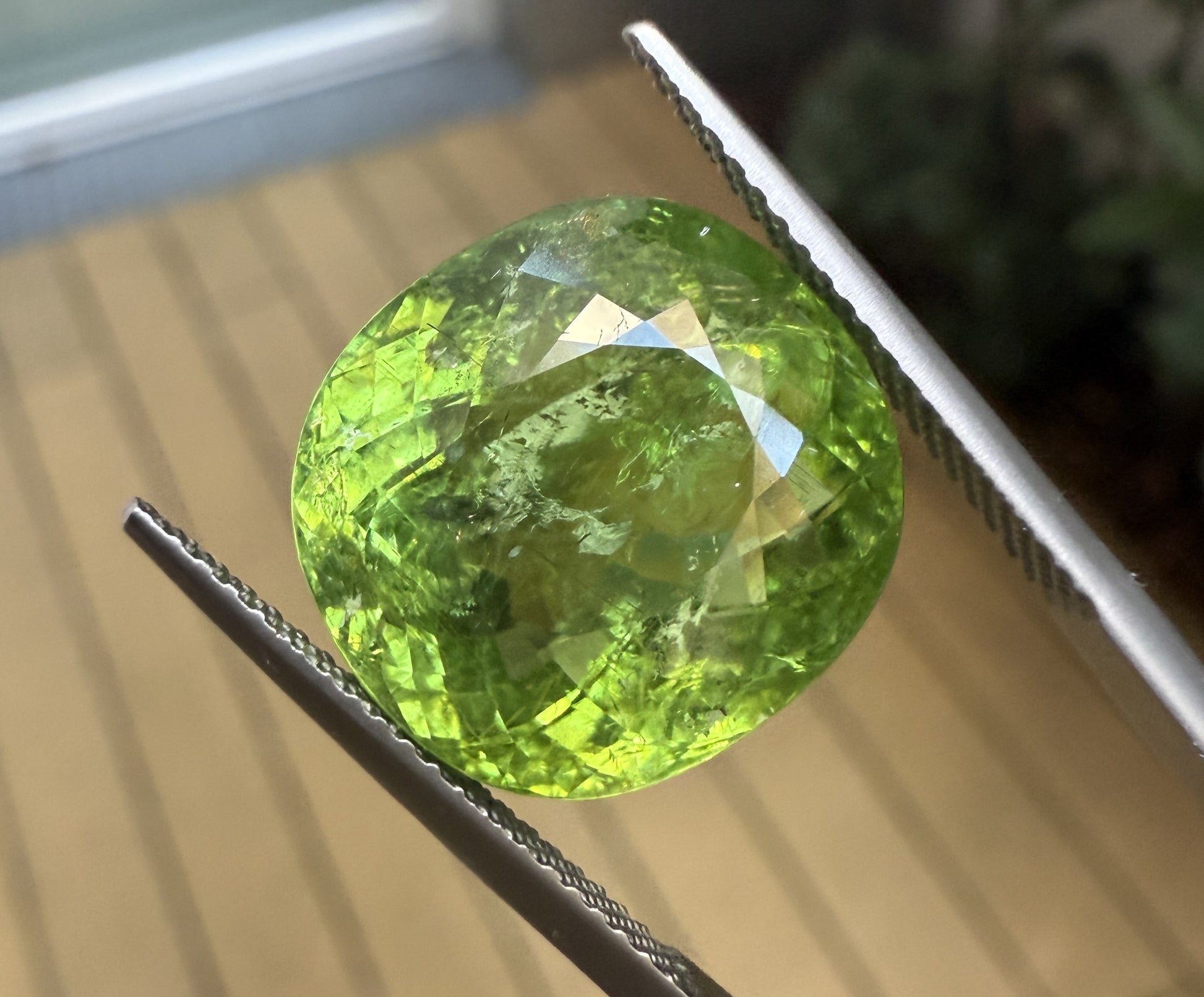 Paraiba Turmalin 13.63ct ansicht in Pinzette