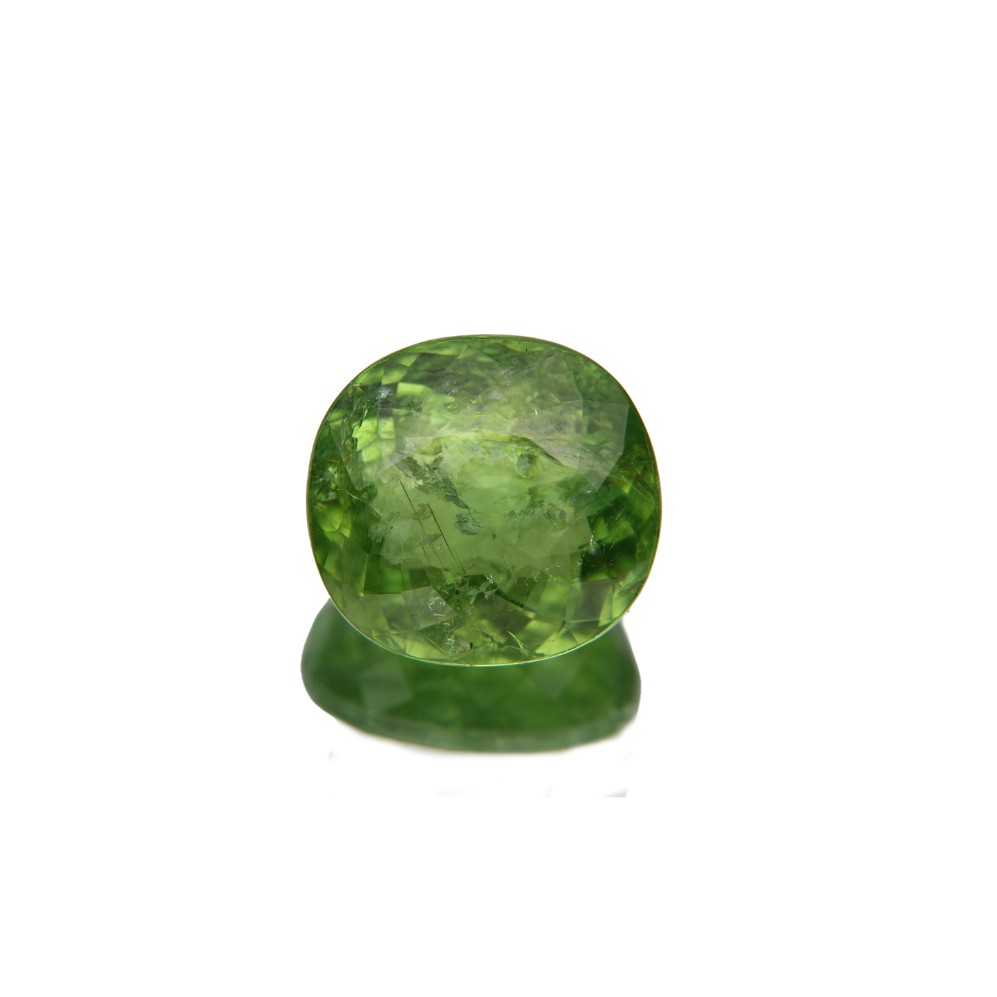 Paraiba Turmalin 13.63ct ansicht von vorne