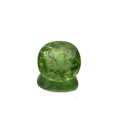 Paraiba Turmalin 13.63ct ansicht von vorne