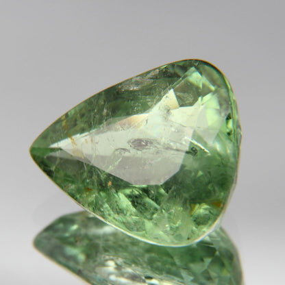 Paraiba Turmalin 3.63ct