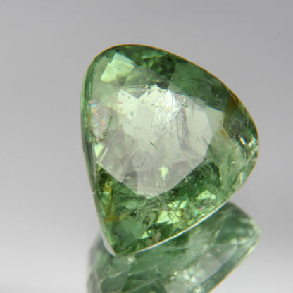 Paraiba Turmalin 3.63ct
