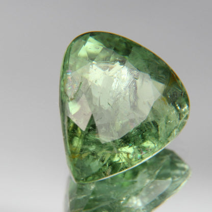 Paraiba Turmalin 3.63ct