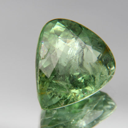 Paraiba Turmalin 3.63ct