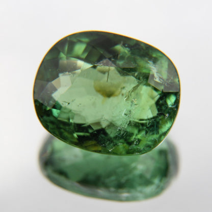 Paraiba 4.90 ct