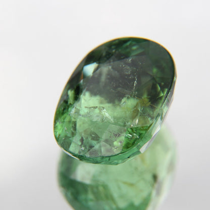 Paraiba 4.90 ct