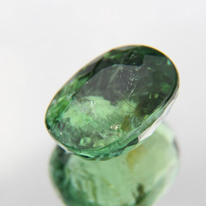 Paraiba 4.90 ct