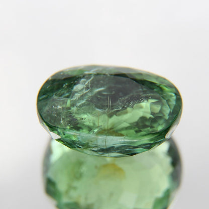 Paraiba 4.90 ct