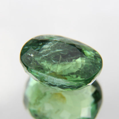Paraiba 4.90 ct