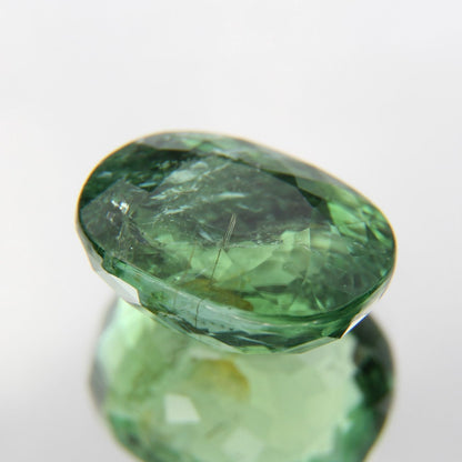 Paraiba 4.90 ct