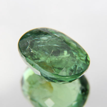 Paraiba 4.90 ct