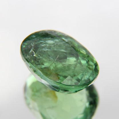 Paraiba 4.90 ct
