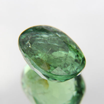 Paraiba 4.90 ct