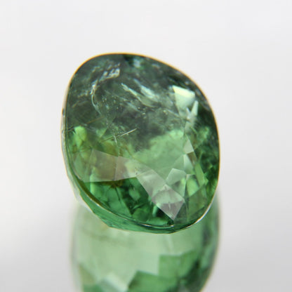 Paraiba 4.90 ct