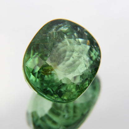 Paraiba 4.90 ct