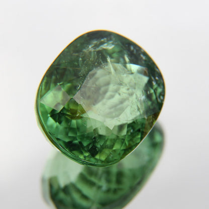 Paraiba 4.90 ct