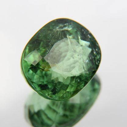 Paraiba 4.90 ct