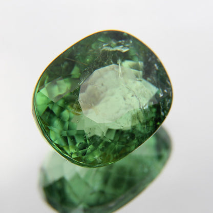 Paraiba 4.90 ct