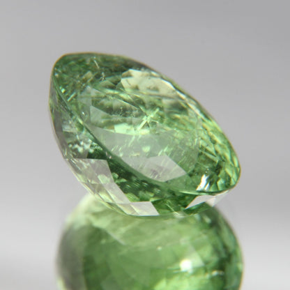 Paraiba Turmalin 5.96ct