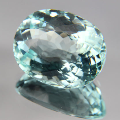 Paraiba 8.76 ct