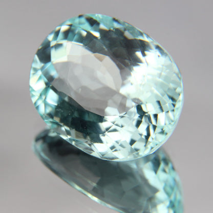 Paraiba 8.76 ct