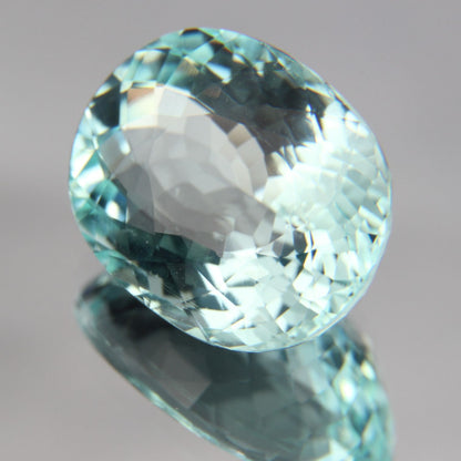Paraiba 8.76 ct