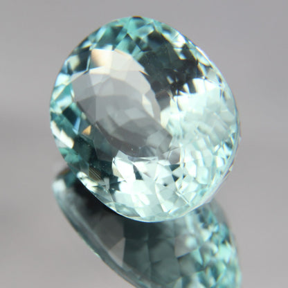 Paraiba 8.76 ct