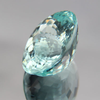 Paraiba 8.76 ct