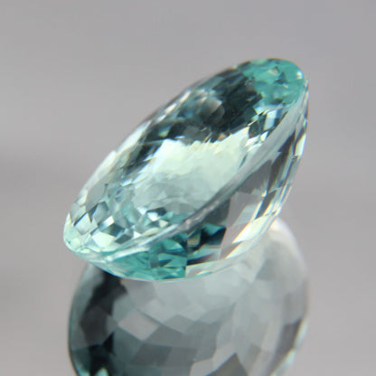 Paraiba 8.76 ct