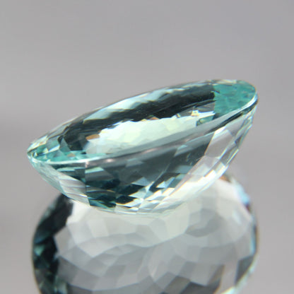 Paraiba 8.76 ct