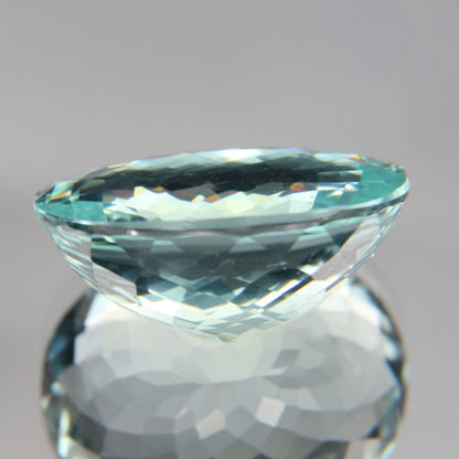 Paraiba 8.76 ct