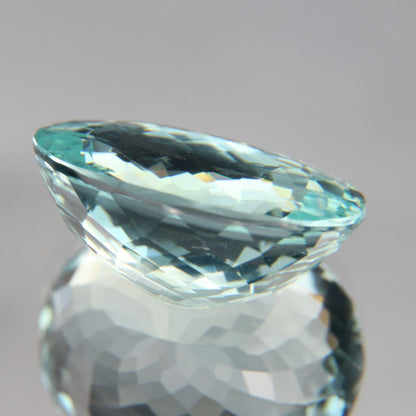 Paraiba 8.76 ct