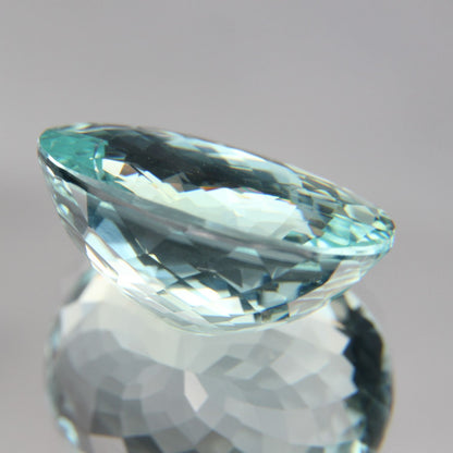 Paraiba 8.76 ct