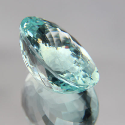 Paraiba 8.76 ct