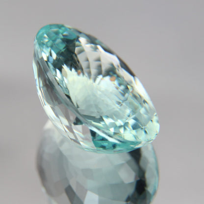 Paraiba 8.76 ct