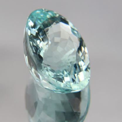 Paraiba 8.76 ct