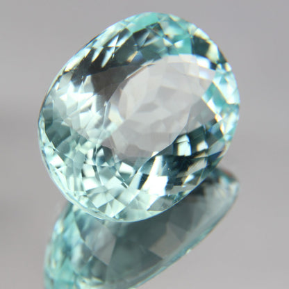 Paraiba 8.76 ct
