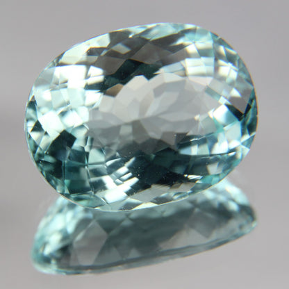 Paraiba 8.76 ct