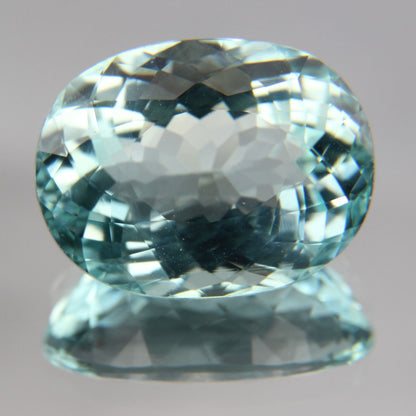 Paraiba 8.76 ct