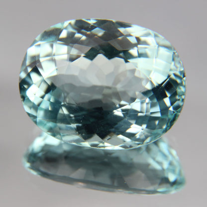 Paraiba 8.76 ct